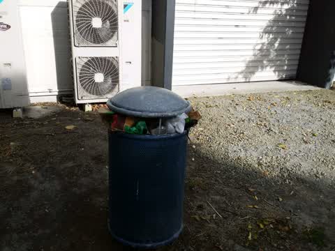 Rubbish/Recycling, a report photo