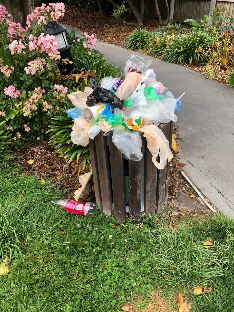 The photograph attached to this parks report