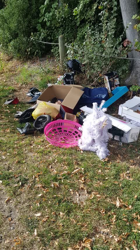 Rubbish/Recycling, a report photo