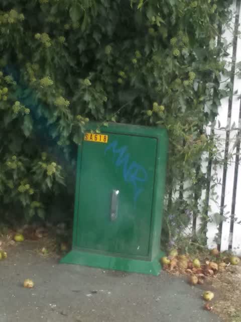 Graffiti, a report photo
