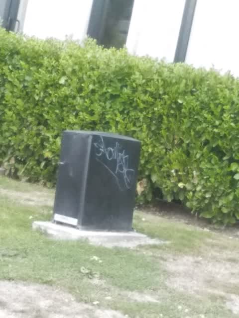 Graffiti, a report photo