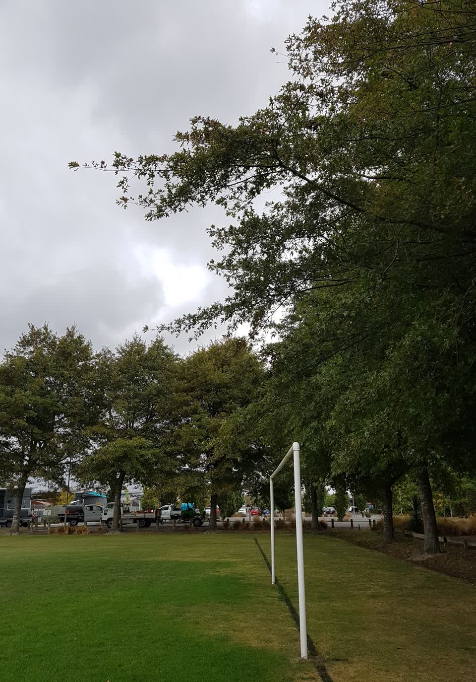 The photograph attached to this parks report