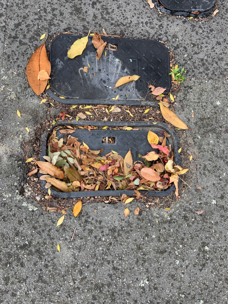 The photograph attached to this water supply report