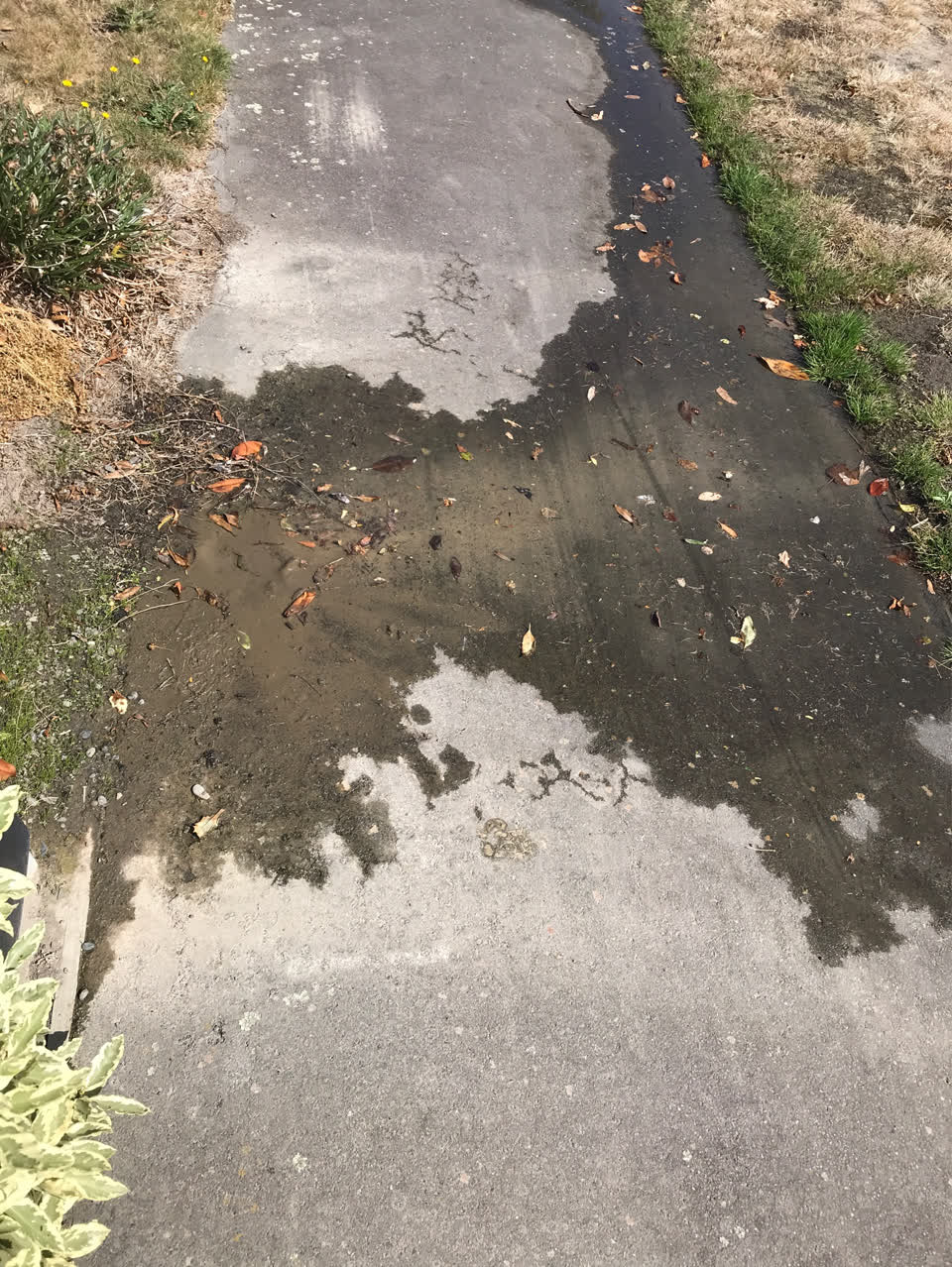 The photograph attached to this water supply report