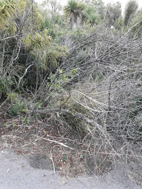 Parks, a report photo