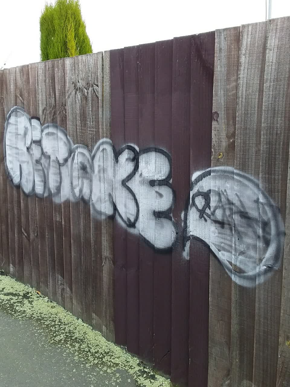 The photograph attached to this graffiti report