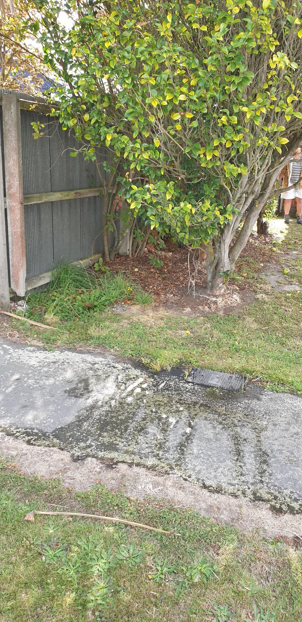 The photograph attached to this water supply report