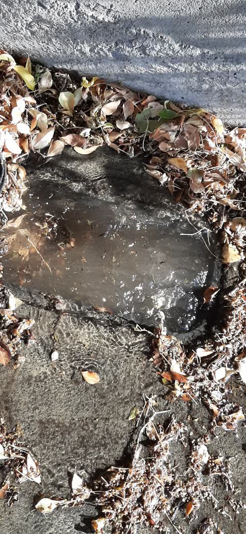 Water Supply, a report photo