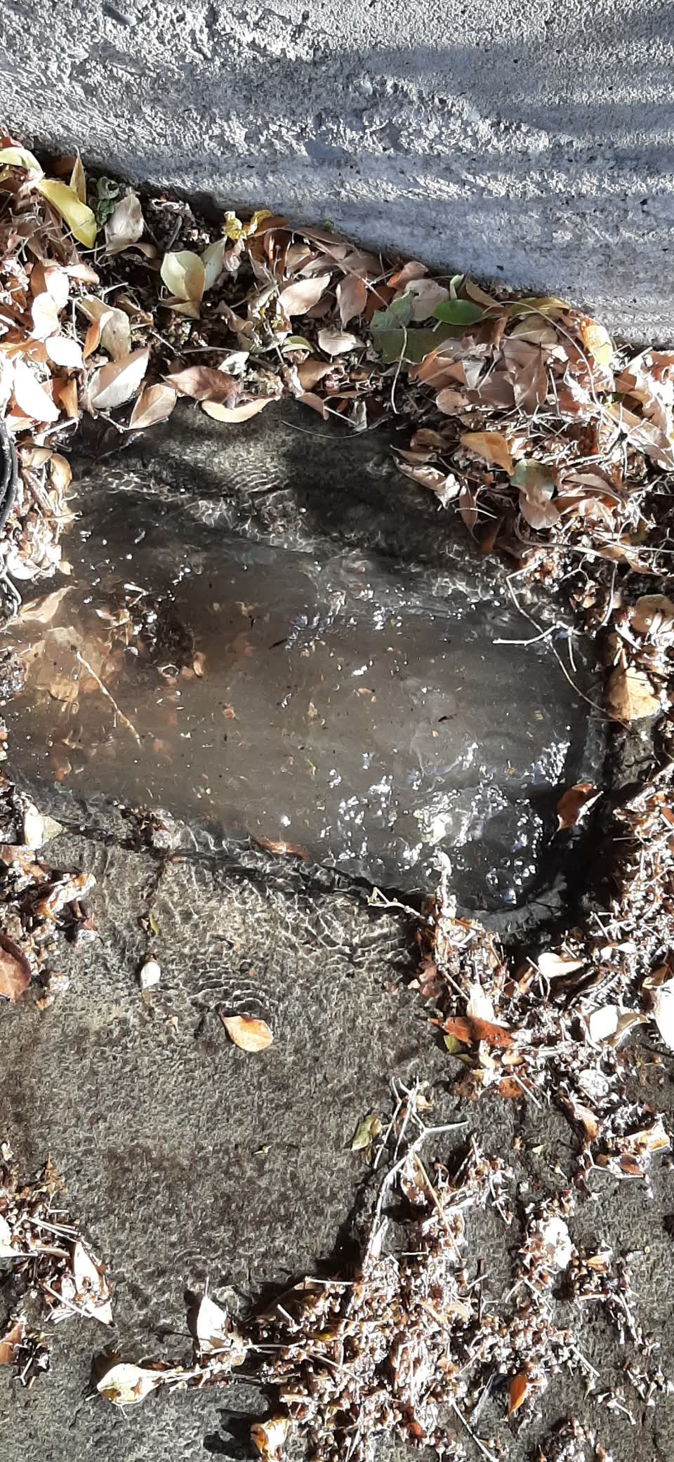 The photograph attached to this water supply report