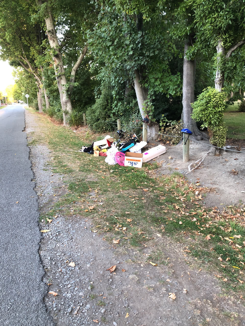 The photograph attached to this rubbish/recycling report