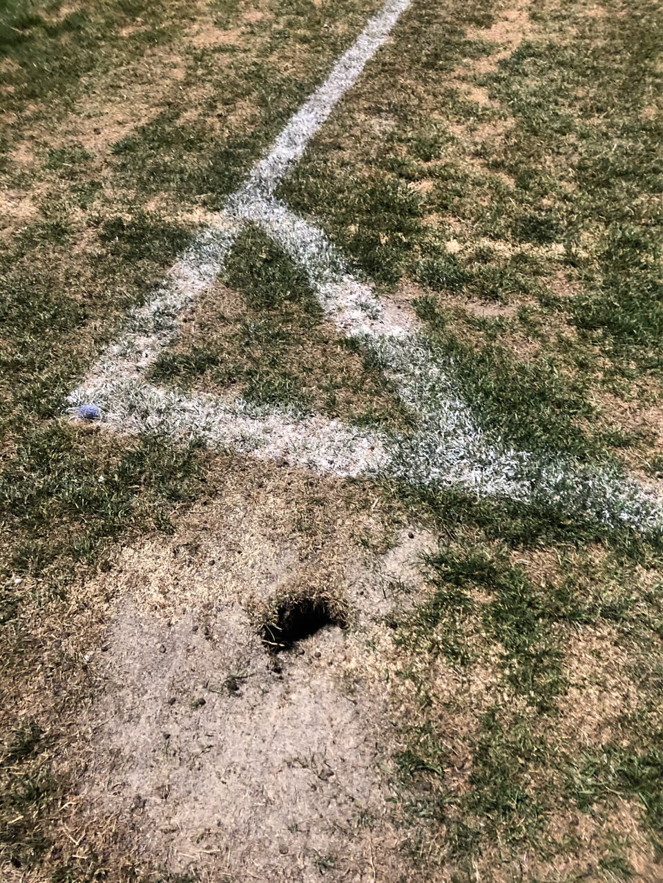 The photograph attached to this parks report