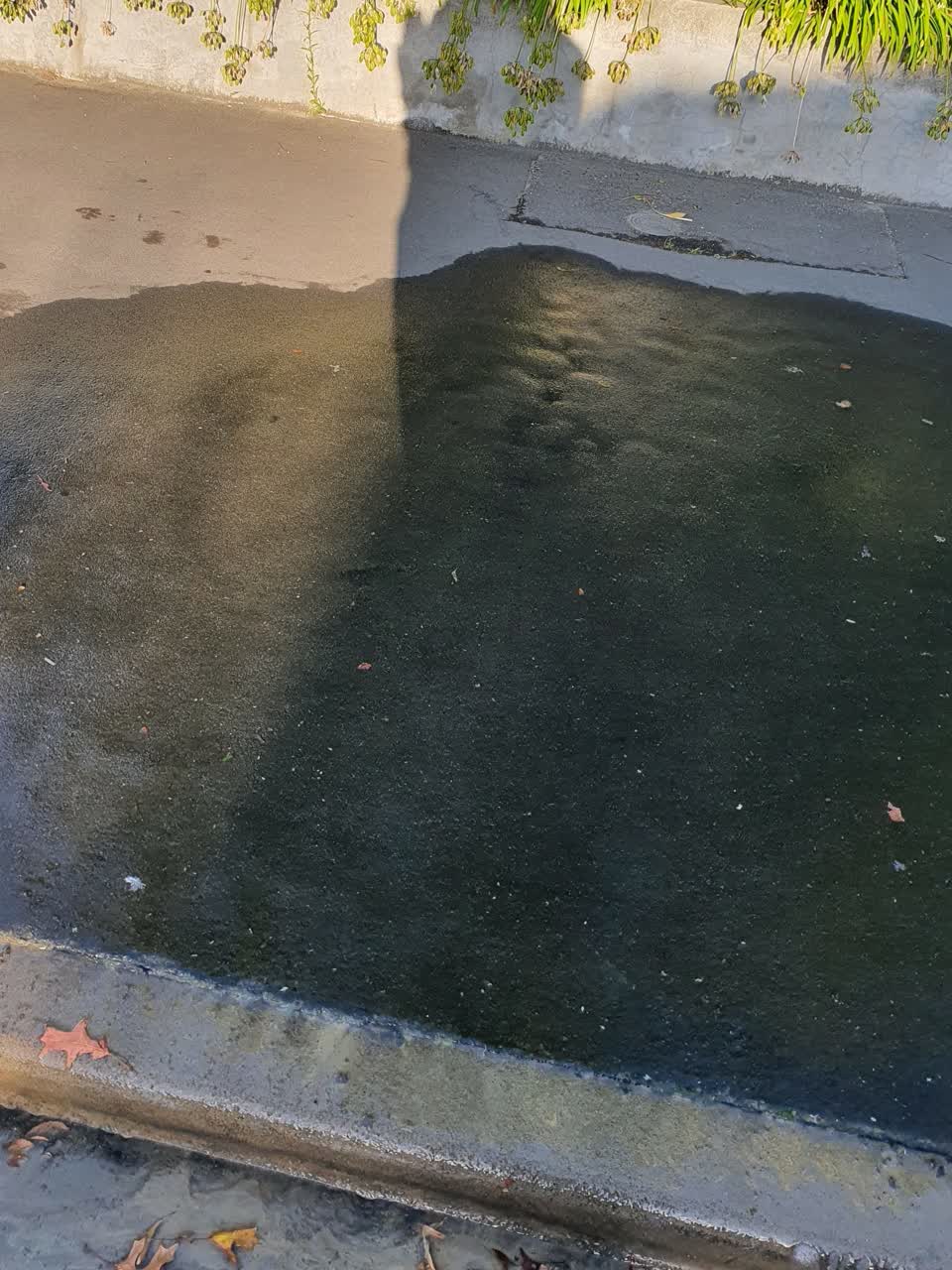 The photograph attached to this water supply report