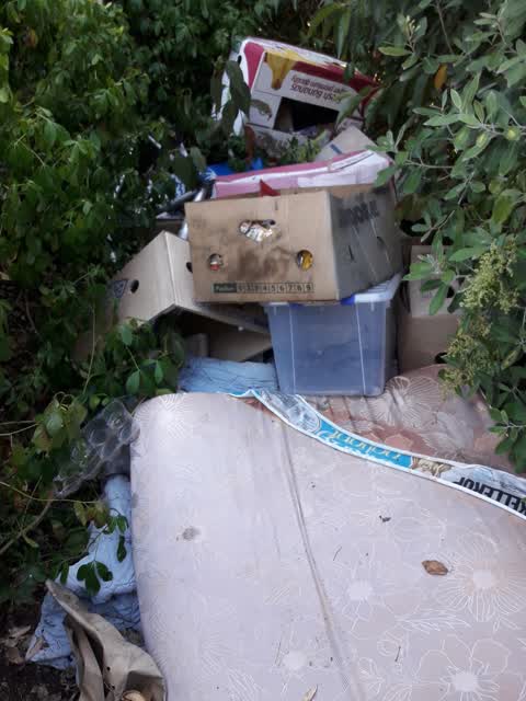 Rubbish/Recycling, a report photo