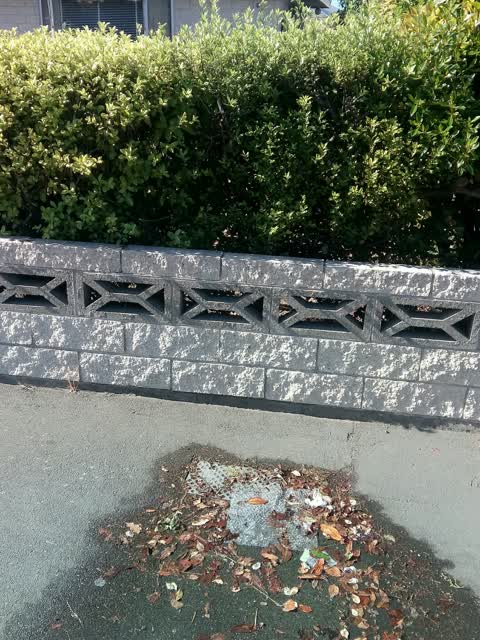 Wastewater/Stormwater, a report photo