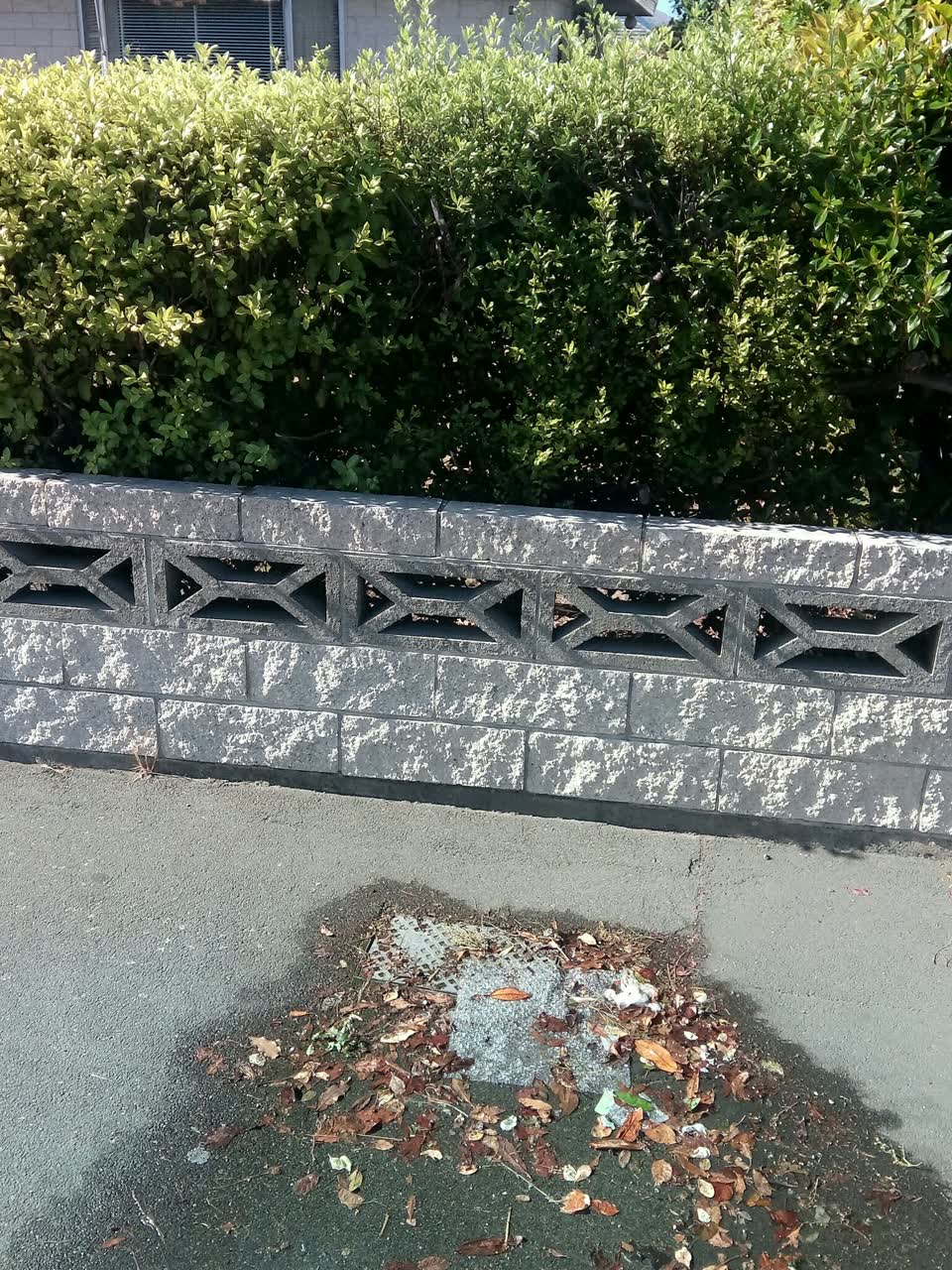 The photograph attached to this wastewater/stormwater report