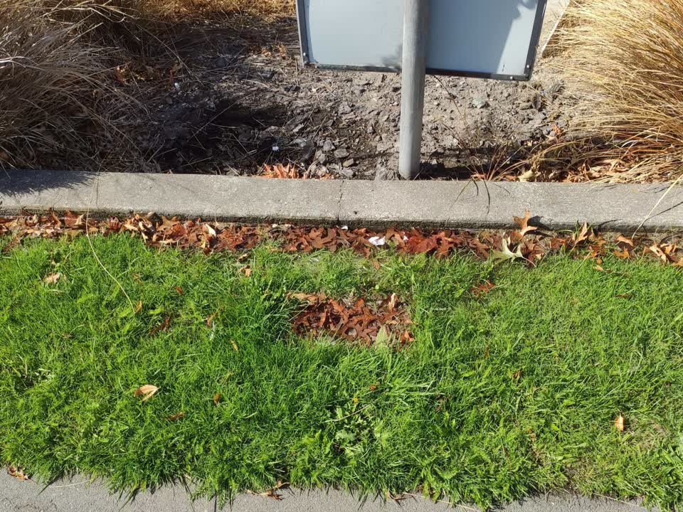 The photograph attached to this water supply report