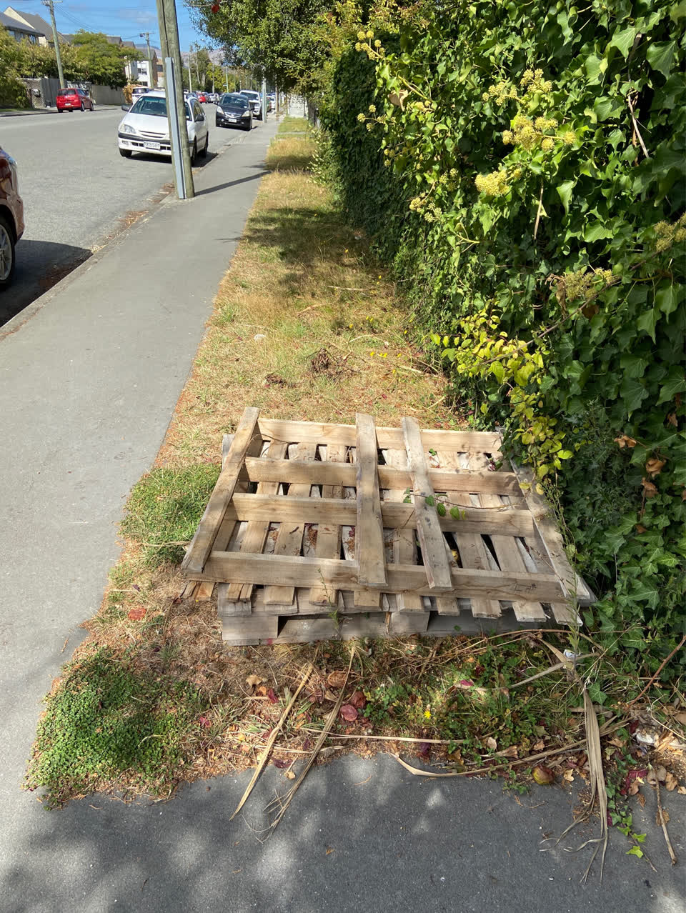The photograph attached to this rubbish/recycling report