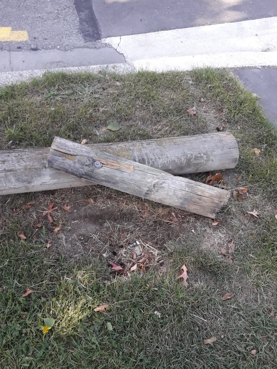 The photograph attached to this parks report