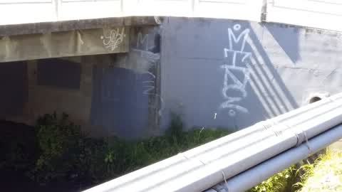 Graffiti, a report photo