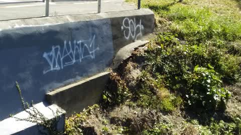 Graffiti, a report photo