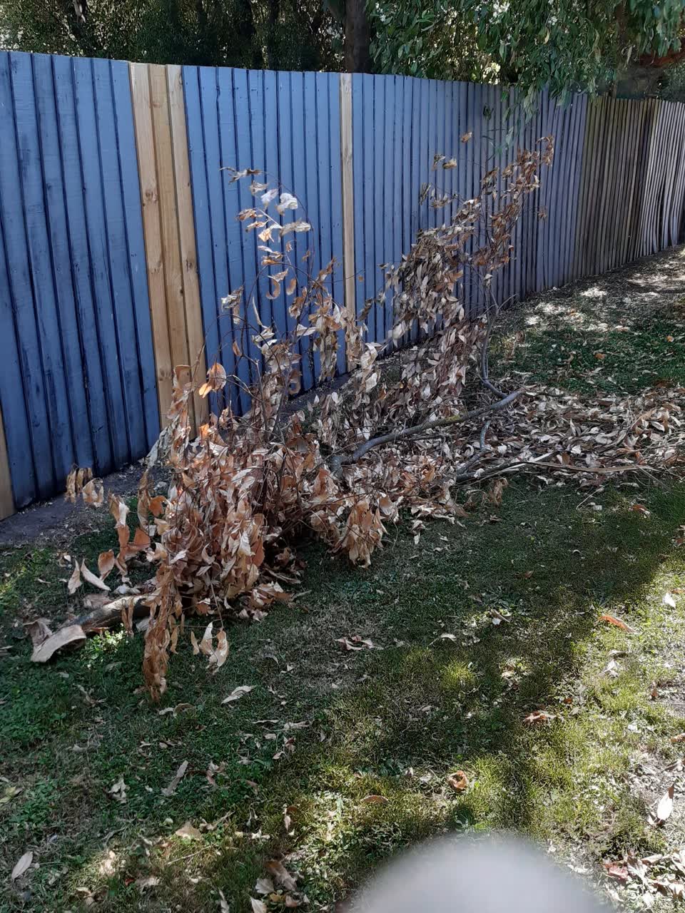 The photograph attached to this parks report