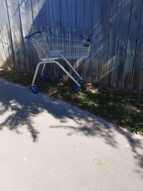 Parks, a report photo