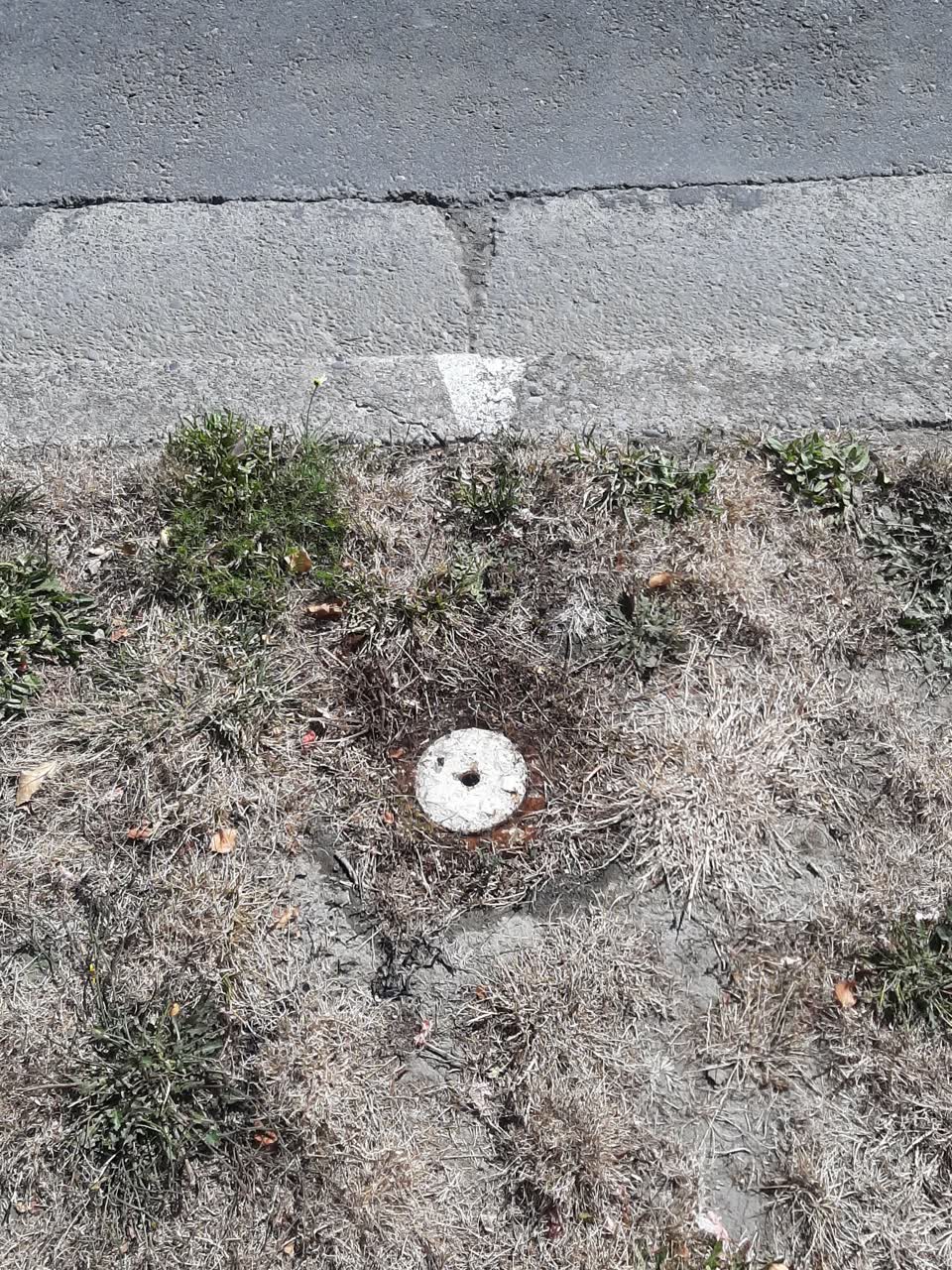 The photograph attached to this water supply report
