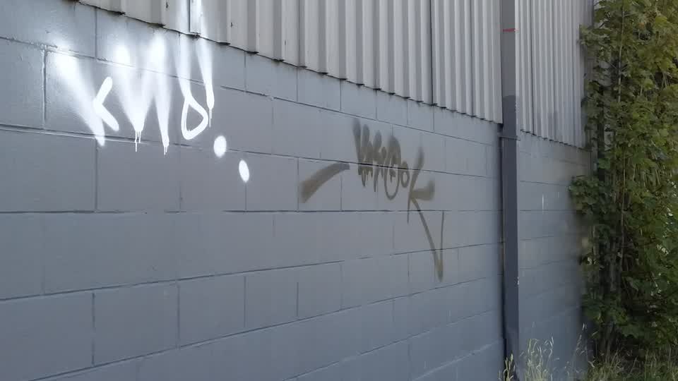 The photograph attached to this graffiti report