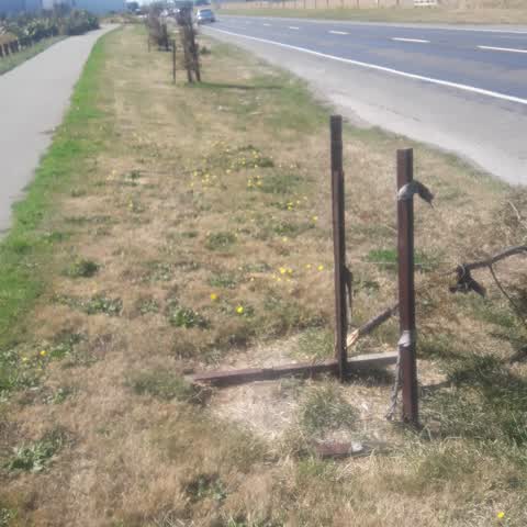 Parks — a report photo