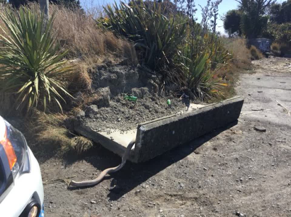 The photograph attached to this roading/streets report