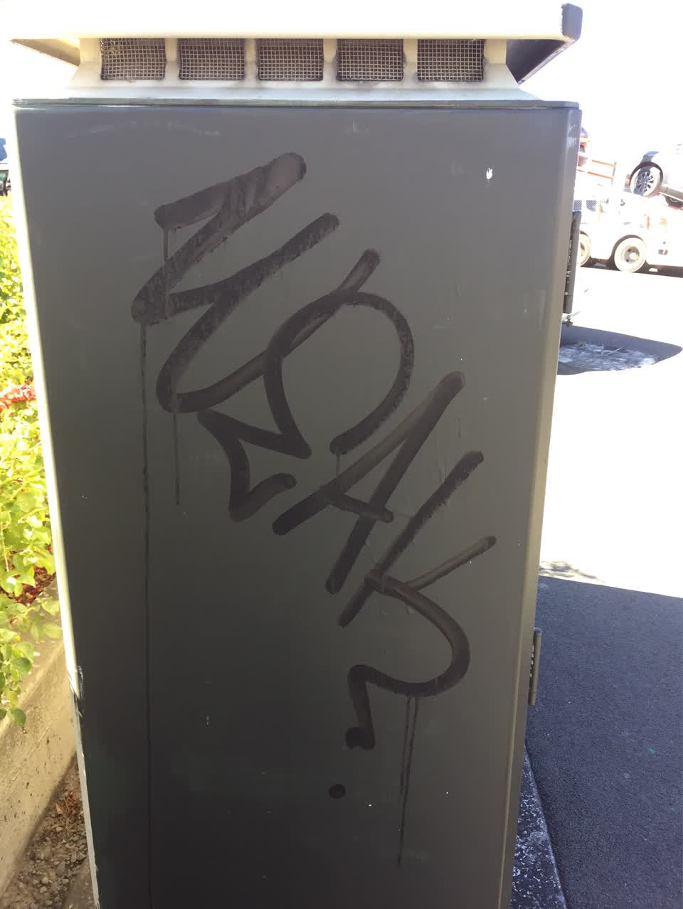 The photograph attached to this graffiti report
