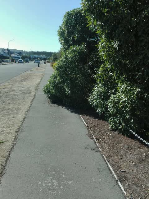 Parks, a report photo