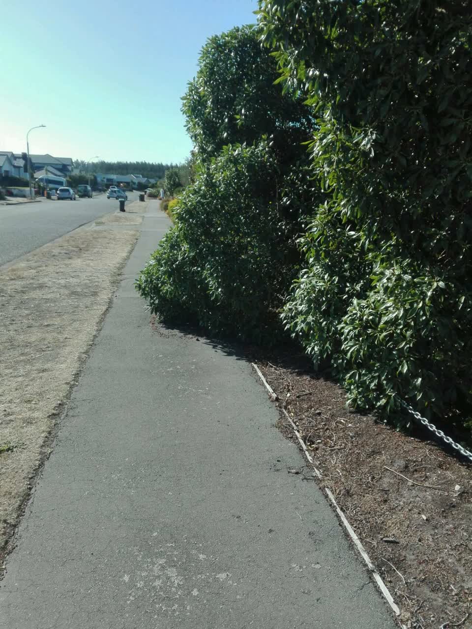 The photograph attached to this parks report