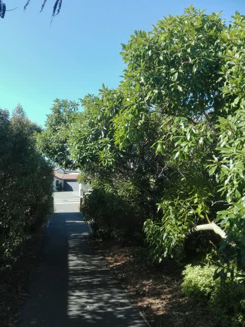 Parks, a report photo