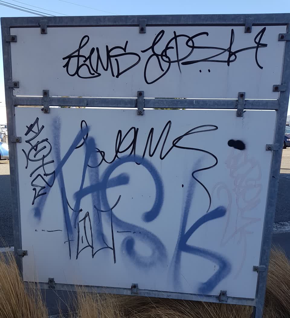 The photograph attached to this graffiti report
