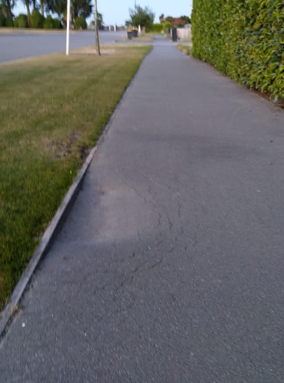 The photograph attached to this roading/streets report