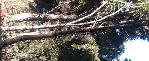 Parks, a report photo