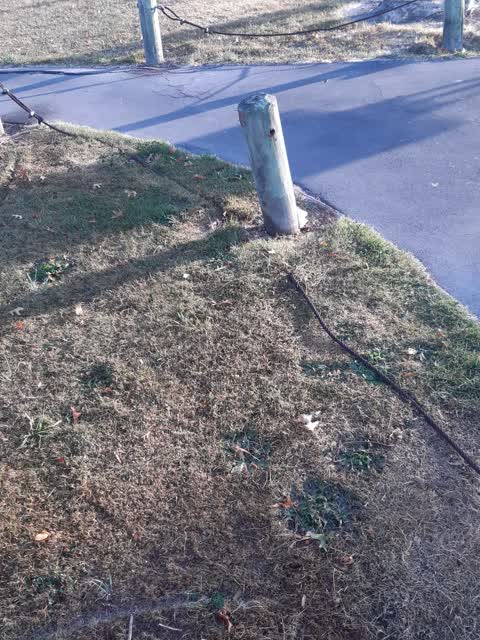 Parks, a report photo