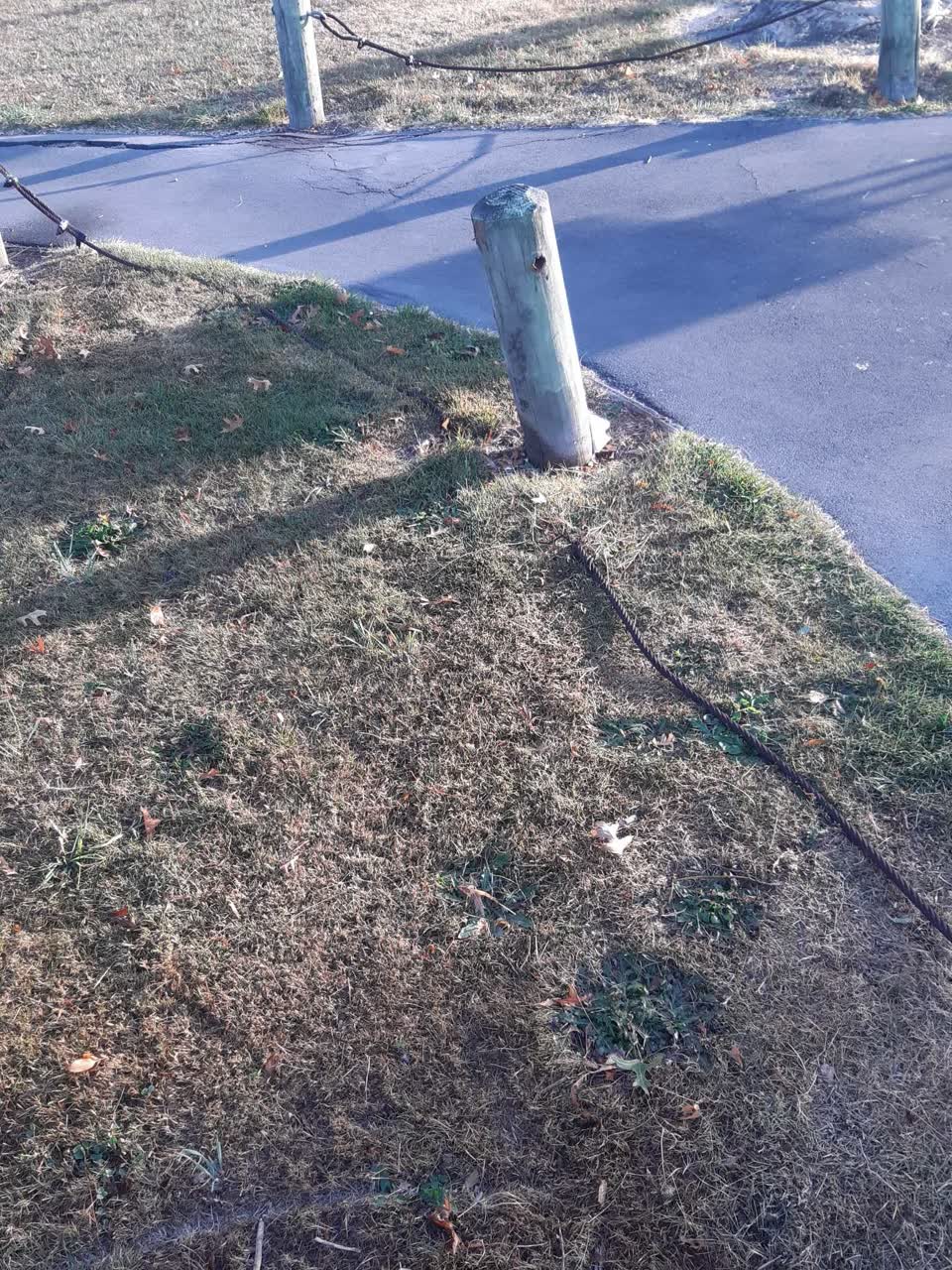 The photograph attached to this parks report
