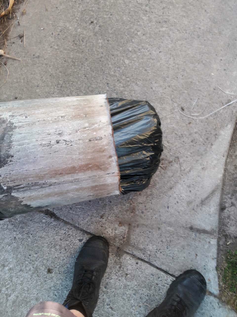 The photograph attached to this parks report