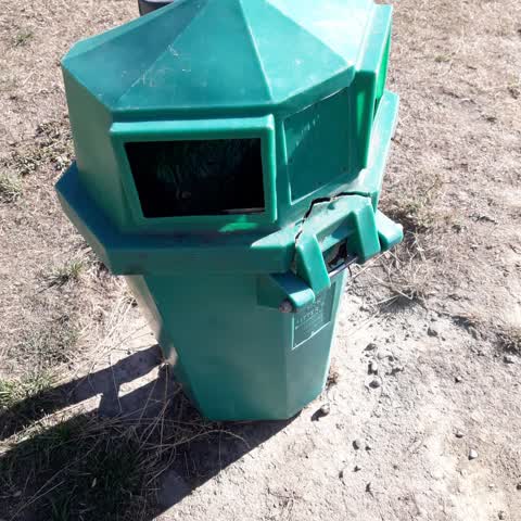 Rubbish/Recycling, a report photo