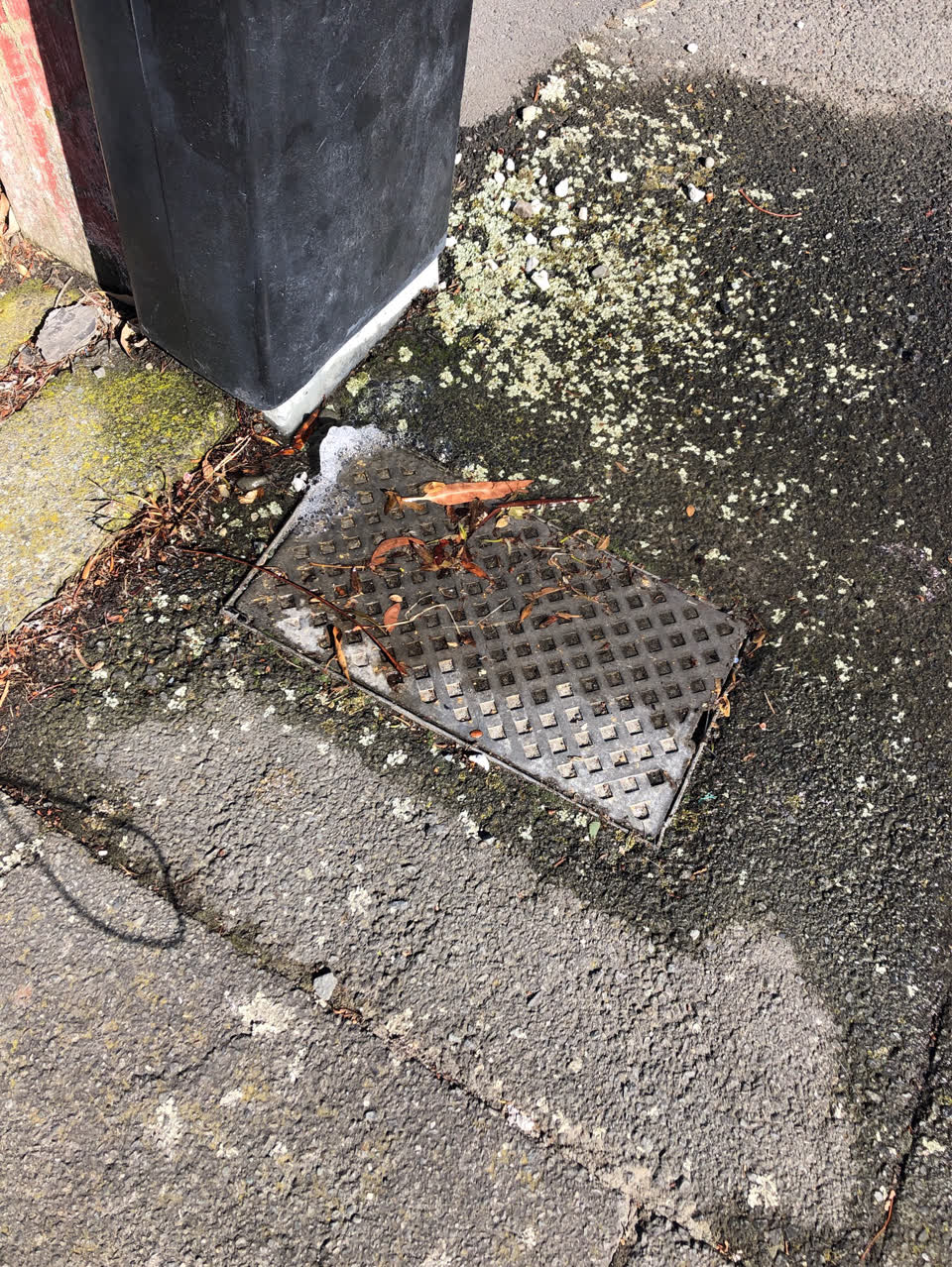The photograph attached to this water supply report