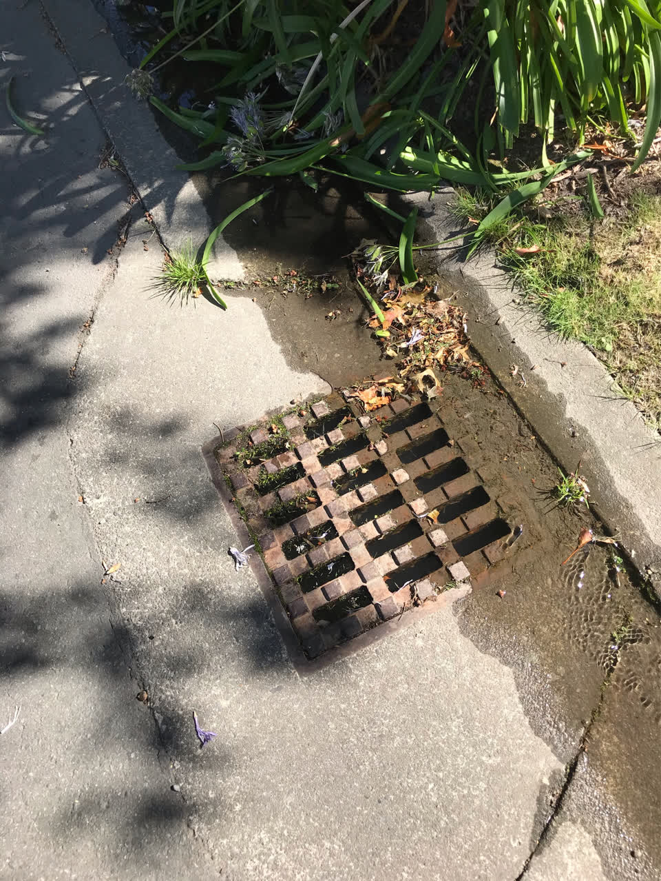 The photograph attached to this wastewater/stormwater report