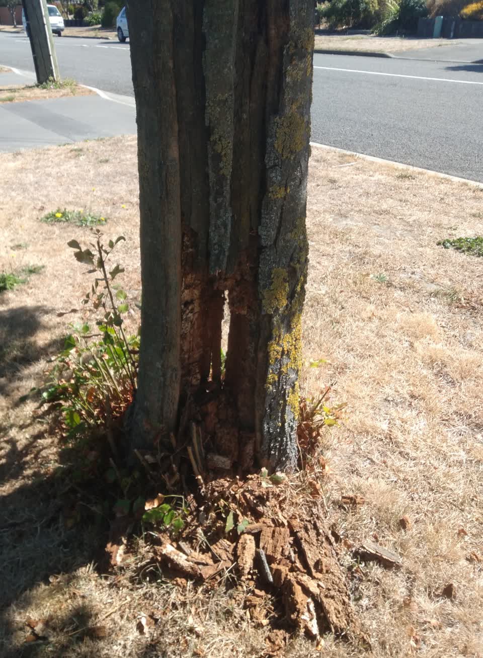 The photograph attached to this roading/streets report