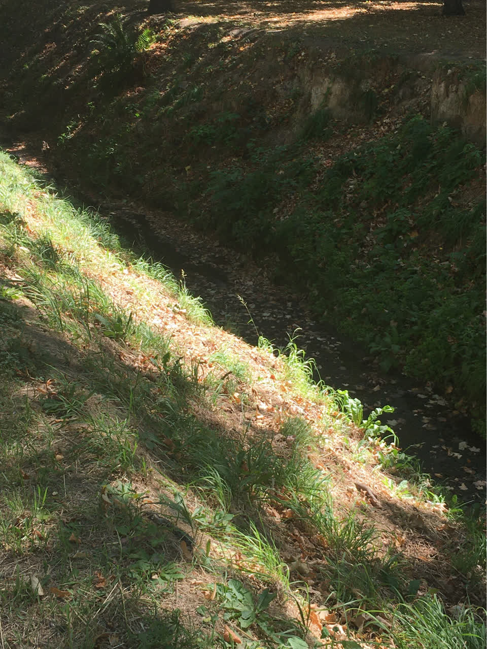 The photograph attached to this parks report
