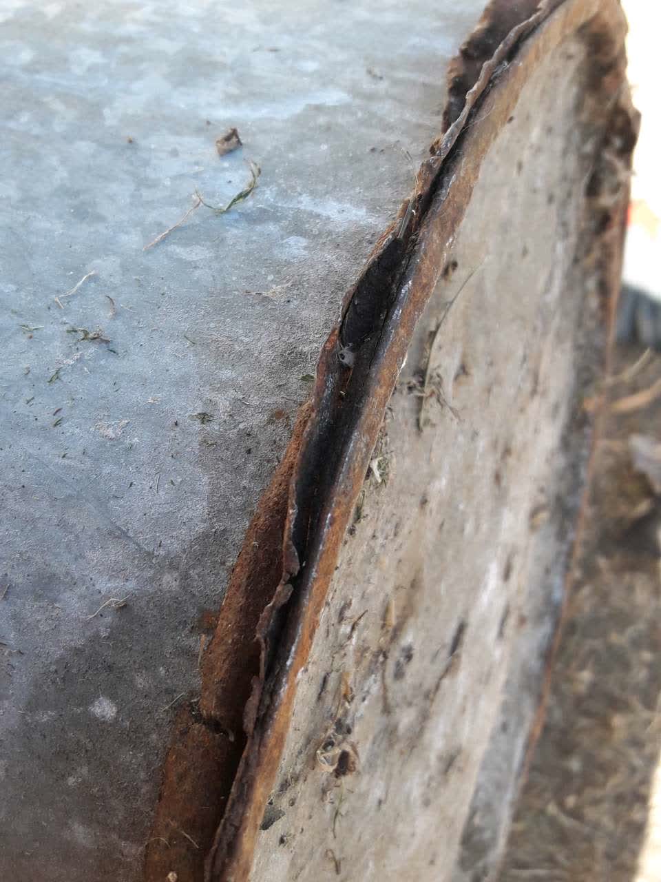 The photograph attached to this parks report
