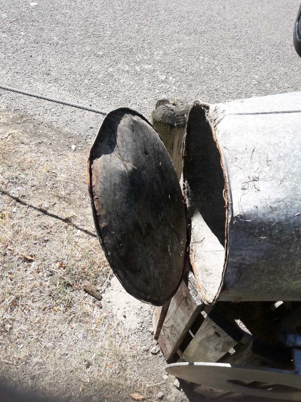 The photograph attached to this parks report