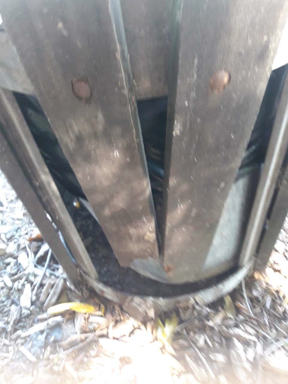 The photograph attached to this parks report