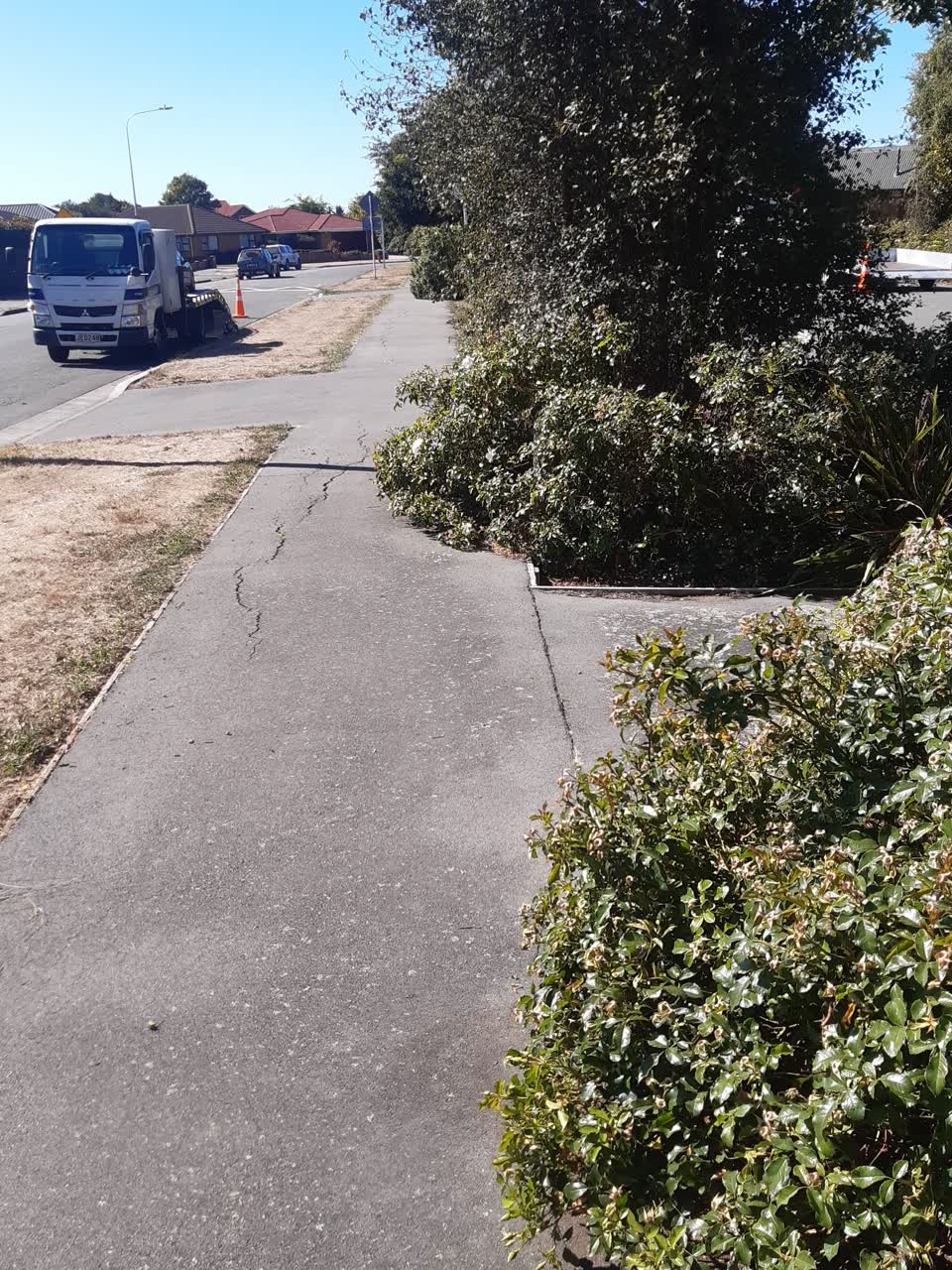 The photograph attached to this parks report