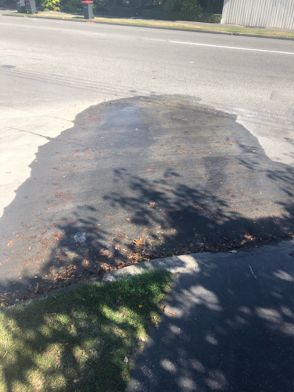 The photograph attached to this roading/streets report